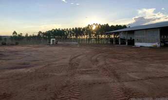 Imagem 7: Fazenda totalmente legalizada e de alta produtividade
