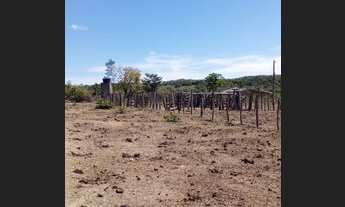 Imagem 5: Fazenda de 30 Alqueires- Colinas do Sul/Goiás