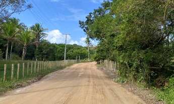 Imagem 4: Lote / Terreno em Caraíva - Porto Seguro