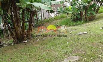 Imagem 4: Joinville - Terreno Padrão - Petrópolis