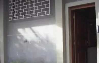 Imagem 2: Sala Comercial 40m² (Otto Niemeyer) - S383