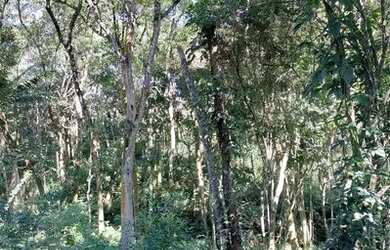 Imagem 3: Lote/Terreno para venda tem 2562 metros quadrados em Rio Abaixo - Mairiporã - SP