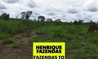 Imagem 4: Fazenda região de Novo Acordo 127 alqueires