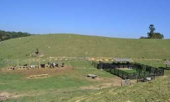 Imagem 7: Sorocaba Sitio 10.9 Hectares, Ótimo Local