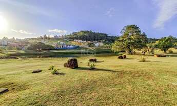 Imagem 6: PORTO ALEGRE - Casa de Condomínio - Alphaville