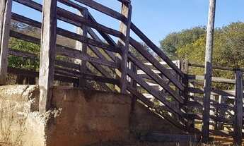 Imagem 2: ESTRUTURA PARA PECUÁRIA!!!AGUA DE NASCENTE!!!90% PASTAGEM!!! 35 KM DO AEROPORTO!!!