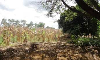 Imagem 7: Chacára na DF 01 - Poço Azul KM 106 Brazlândia/DF