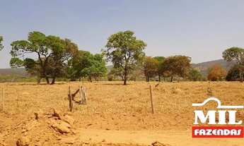 Imagem 4: Fazenda 210 Alq. (1016 HÁ) em Piranhas - GO