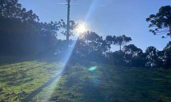 Imagem 7: Terreno de 16.9 hectare em Urubici