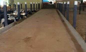 Imagem 5: Fazenda com 3 dormitórios à venda, 75000 m² por R$ 5.200.000,00 - Zona Rural - São Gonçalo