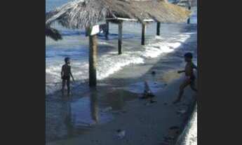 Imagem 6: Terreno com 122 lotes (Loteamento) na Ribeira em Mangue-Seco