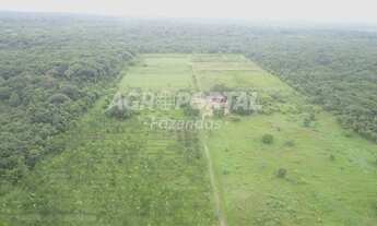 Imagem: Fazenda no Pará - São Francisco do Pará