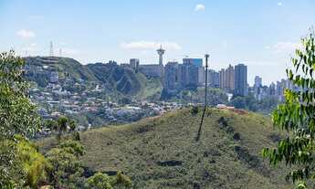 Imagem: Lote no Vila Alpina, área de 1.000,00m2