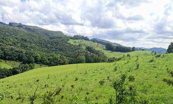 Imagem 3: Terreno com 9 alqueires de terra Em CAMANDUCAIA -MG 80 % aproveitável com nascente própria