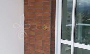 Imagem 5: Florianópolis - Apartamento Padrão - JARDIM ATLANTICO