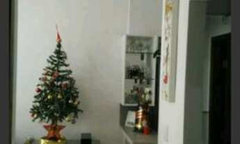 Imagem 4: CONTAGEM - Casa Padrão - Xangri-Lá