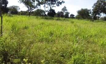 Imagem 5: Vende-se uma fazenda de 143 hectares