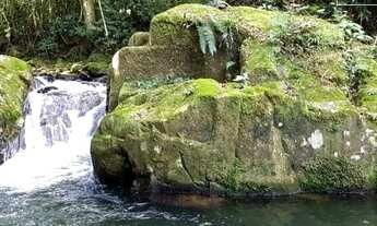 Imagem 2: SÍTIO NA MONTANHA COM RIO  LAZER/MORADIA/GADO - SILVEIRAS  SP