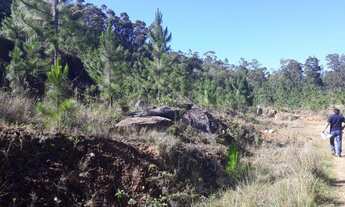 Imagem 7: Áreas na Praia de Fora, Para Casa, Chácara ou Sítio Próximo do Mar