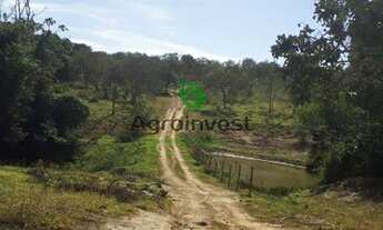 Imagem: Fazenda em Ipameri - GO