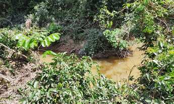 Imagem 3: Área Terreno Chácara Fazendinha Sítio 2 Hectares, 20.000m2, Florestal MG