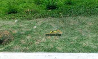 Imagem 2: Terreno à venda, 270 m² por R$ 250.000 - Condomínio Residencial Mont Blanc - Itu/SP