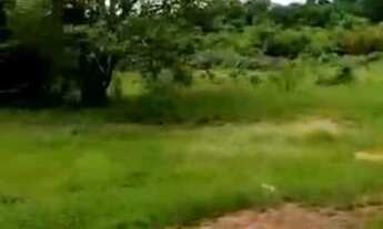 Imagem: 548 Alqs Dupla Aptidão Plana Rio Bruta