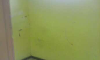 Imagem 6: BELO HORIZONTE - Casa Padrão - São Luiz