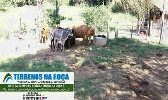 Imagem 5: Sitio em Conceição do Para/MG, 5 hectares as margens do Rio Para