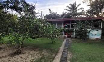 Imagem 2: Sítio em Santa Barbará