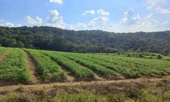 Imagem 6: 03o-Lotes A partir 600m² com toda infraestrutura!