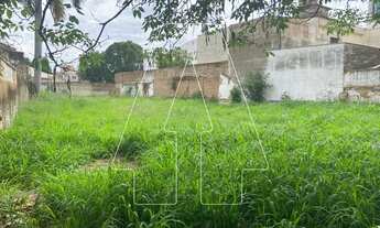 Imagem 4: Araçatuba - Lote/Terreno - Centro