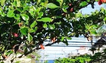 Imagem 7: Alugo apartamento por dia em matinhos Corpus Christi