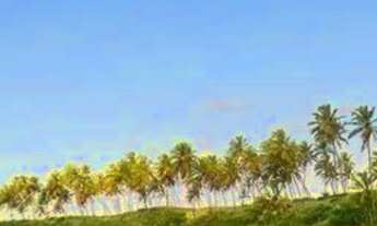 Imagem 2: RESERVA SAUÍPE Lote em condomínio Alto Padrão a venda com 450 m2 em Costa do Sauípe