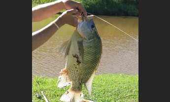 Imagem 2: TERRENOS COM EXCELENTE TOPOGRAFIA!!!