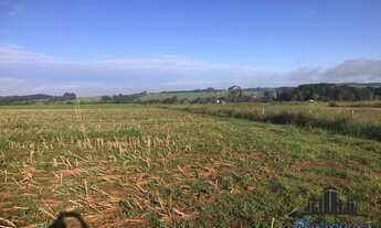 Imagem 2: FAZENDA EM ARAGOIANIA COM 32 ALQUEIRES