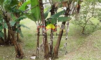 Imagem 6: Joinville - Terreno Padrão - Petrópolis