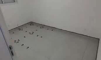 Imagem 5: Lindo apartamento 2 dormitórios sendo 1 suíte no condomínio Portal Quinta dos Pinheiros