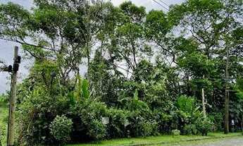 Imagem 4: Terreno à venda, 850 m² por R$ 960.000,00 - Ponta Das Toninhas - Ubatuba/SP