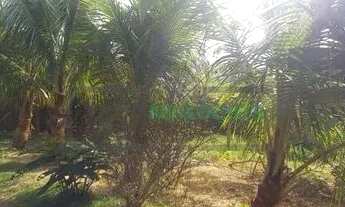 Imagem 5: WSL - Chácara para venda possui 250 metros quadrados com 3 quartos