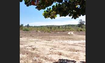 Imagem 6: Fazenda de 30 Alqueires- Colinas do Sul/Goiás