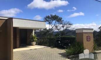 Imagem 2: Petrópolis - Casa Padrão - Nogueira