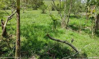 Imagem 6: Balneário Piçarras - Terreno Padrão - Zona Rural