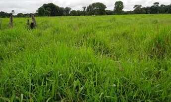 Imagem 7: Fazenda à beira do Rio Javaés