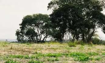 Imagem 4: Lote/Terreno para venda possui 500 metros quadrados em Centro - Cotia - SP