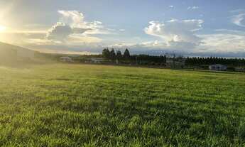 Imagem: Fazenda totalmente legalizada e de alta