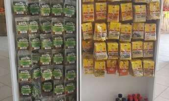 Imagem 3: Vendo Hortifruti