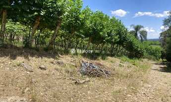 Imagem 4: GARIBALDI - Padrão - Interior