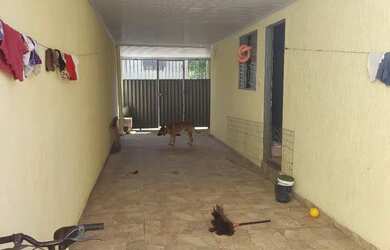 Imagem 5: Alugo Casa com 1 dormitório