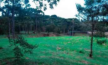 Imagem: Vendo area de 20.000 mil metros quadrado